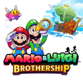Mario e Luigi: Irmandade NS
