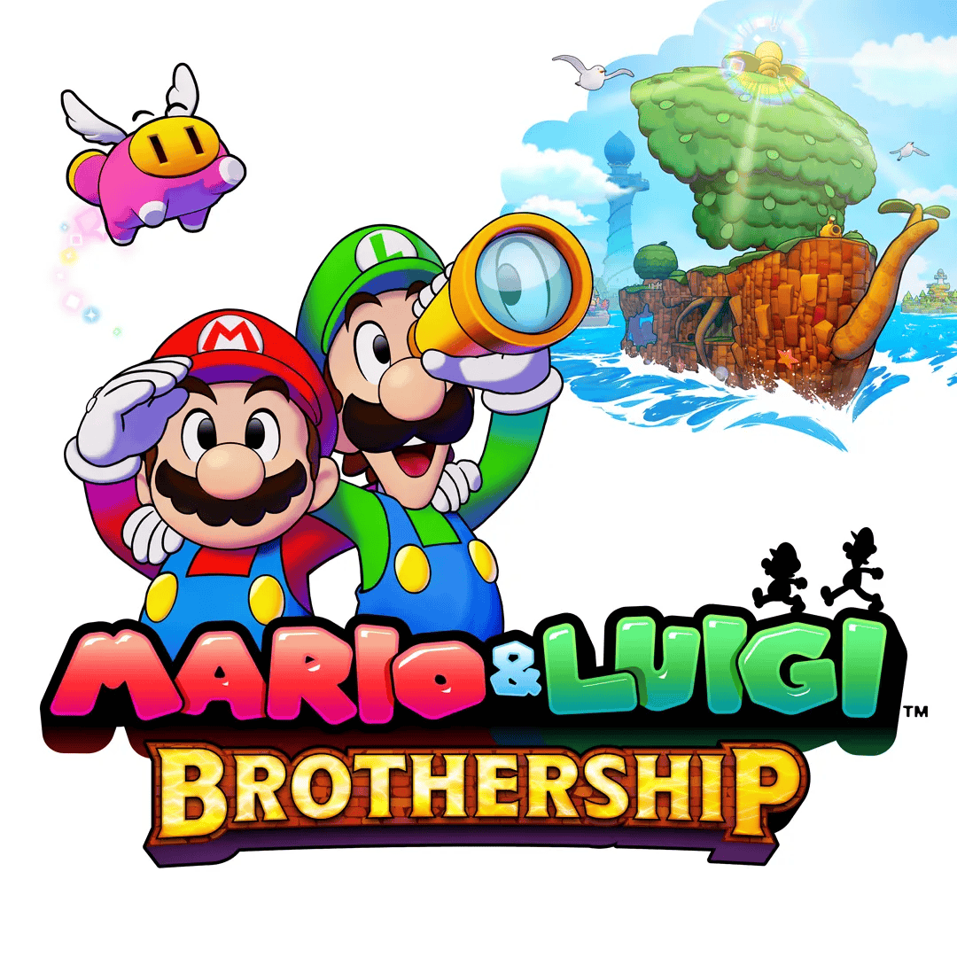 Mario e Luigi: Irmandade NS
